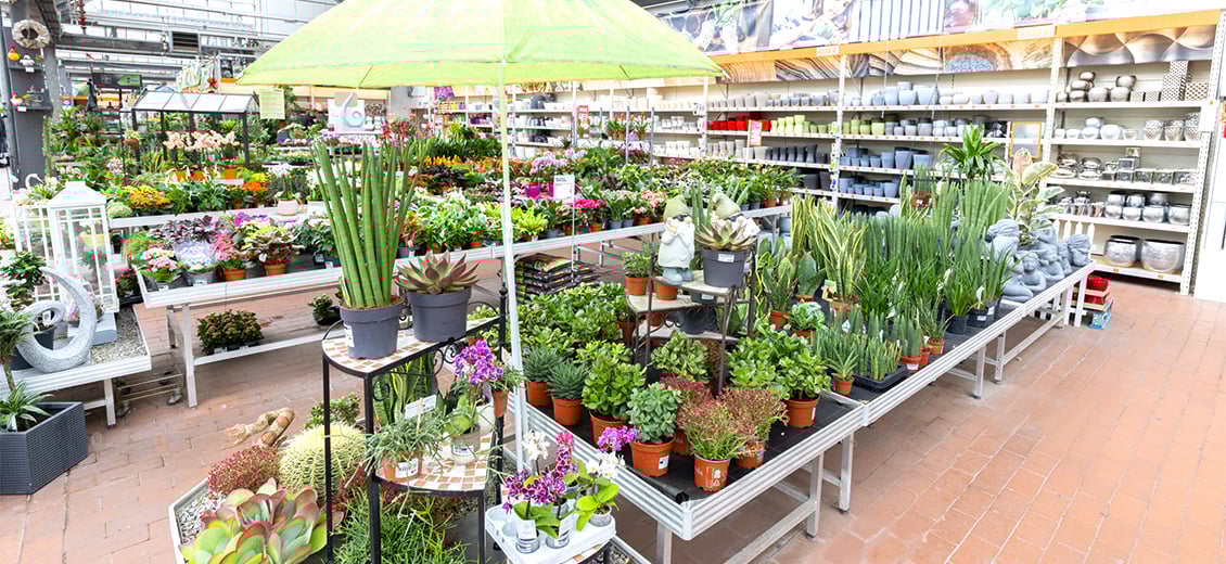 Dein OBI Markt Rheine, Paulstr. 3747