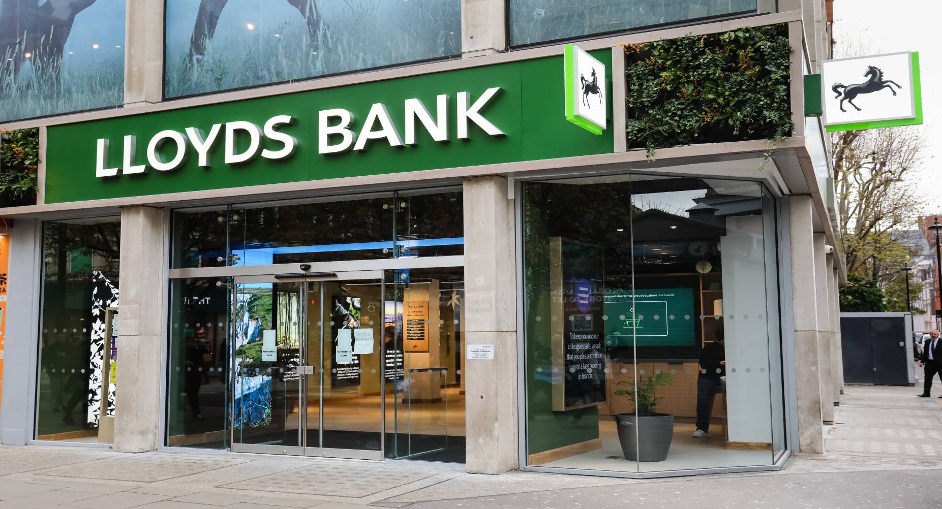 Branch Interior - Knowledge Bar