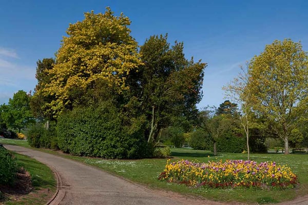 View of Wellington Park in Somerset, from just inside the main entrance gates