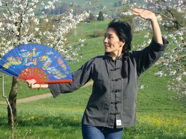 Tai Chi Yang Stil Regenbogen Fächerfom mit 30 Folgen