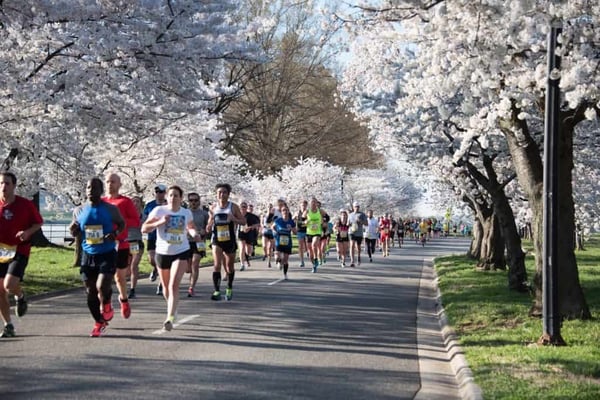 Parking Near Cherry Blossom Run - ParkMobile