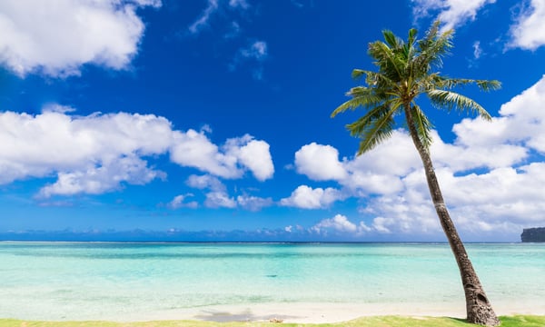 グアムのビーチとヤシの木