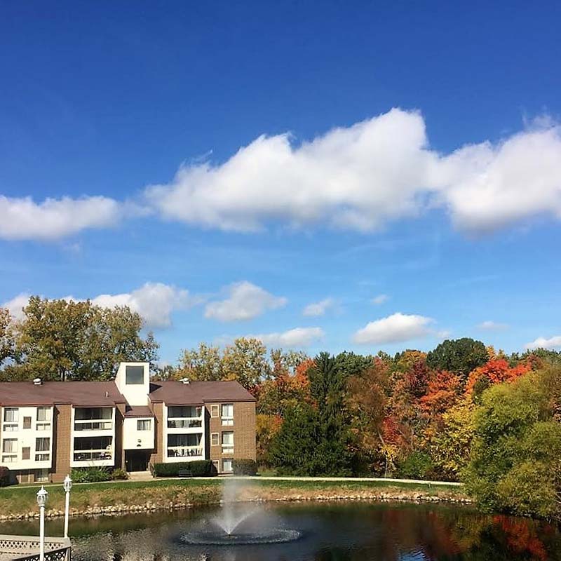 Get Cox for Your WifiCertified Vineyard Apartments Home