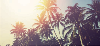 Hero Background Image