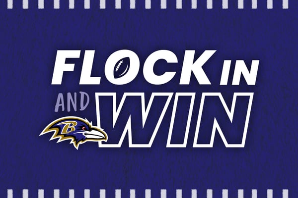 flock in and win