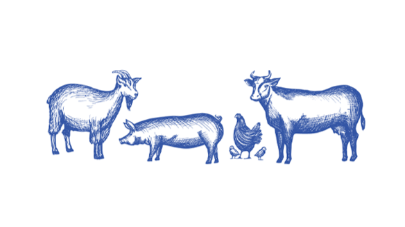 Briscoe County Livestock Show logo