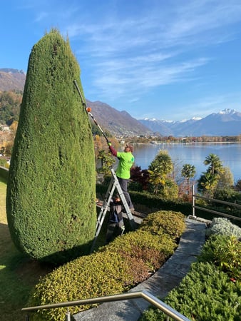 Selim Giardini - Potature