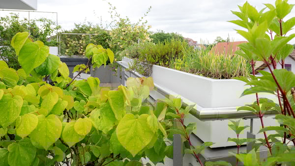 https://gartenimeinklang.ch/