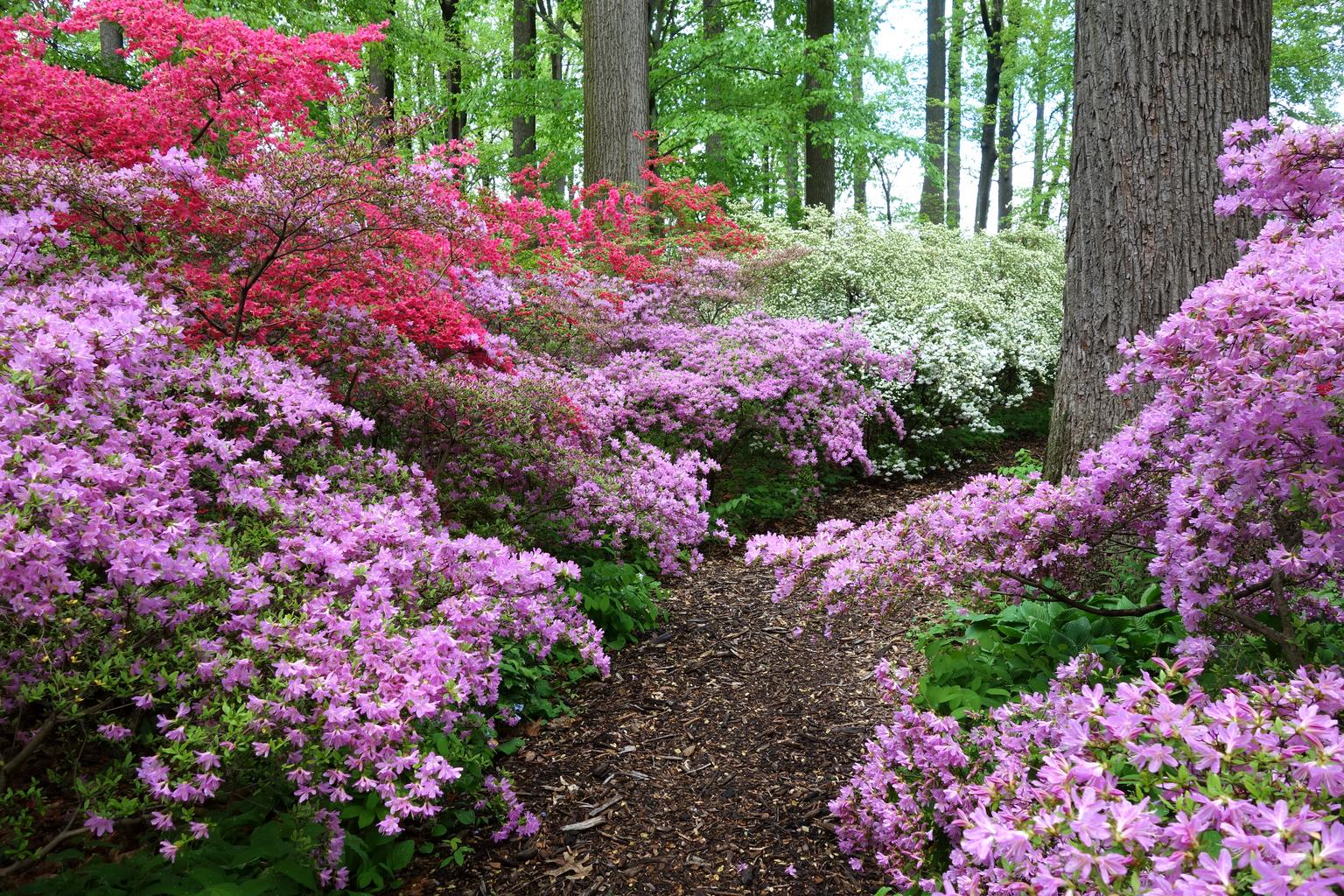 Hero Background Image