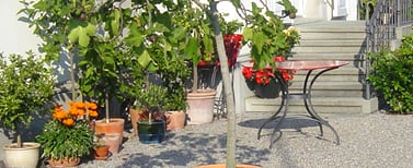 Gartenbau Meister AG St.Margrethen