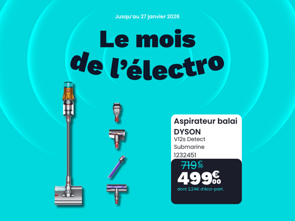 Aspirateur balai DYSON V12s