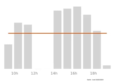 Voir le trafic sur Google maps https://maps.google.com/maps?cid=754205328769765270