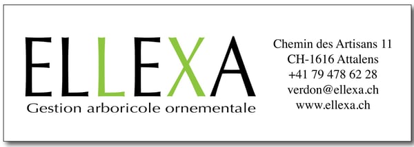 ELLEXA Sàrl, Soins aux arbres à Attalens