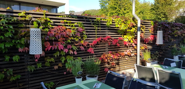 Herbstimpressionen auf unserer Gartenterrasse