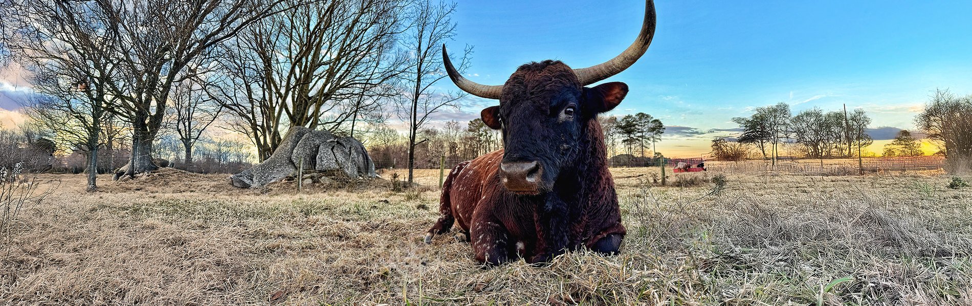 Hero Background Image