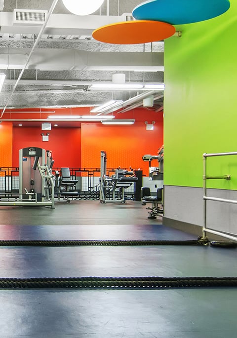 All Blink Fitness Gyms In Ny Cardio Equipment Strength Equipment Gym Equipment Gym Near Me Fitness Center Personal Trainer Gym Membership Fitness Gym