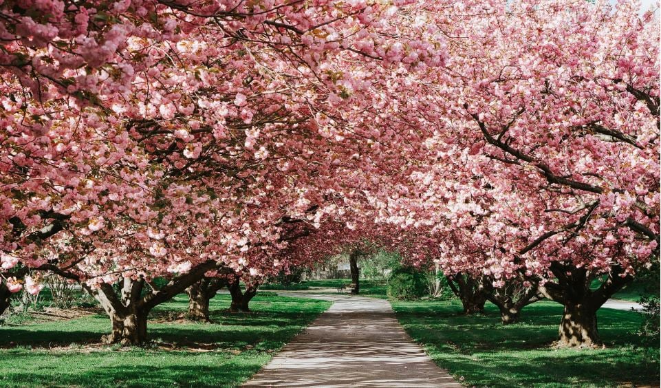 Hero Background Image