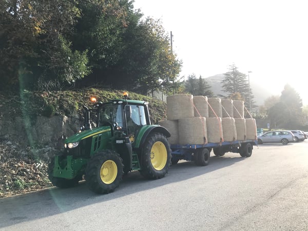 Trasporto Paglia, Bioggio