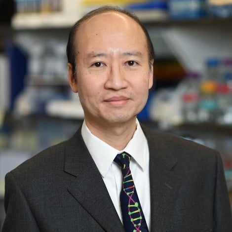 Stephen H Tsang, MD, PhD