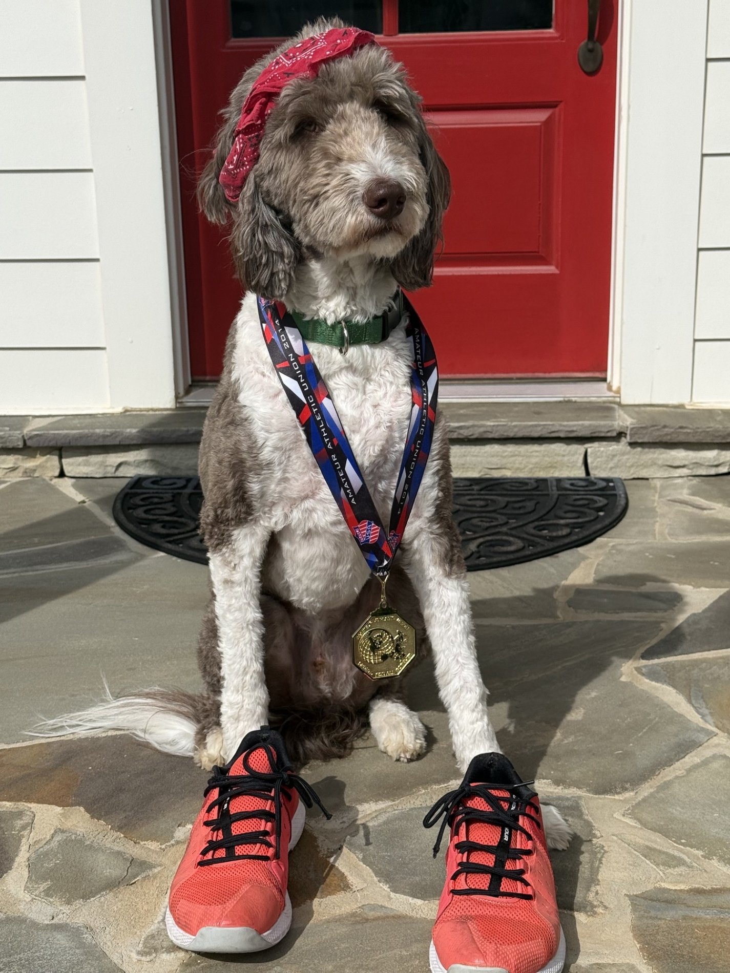 Cooper ready for a good run.