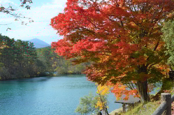 周囲の木々が色づいた五色沼