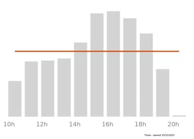 Voir le trafic sur Google maps https://maps.google.com/maps?cid=6475933918125560816