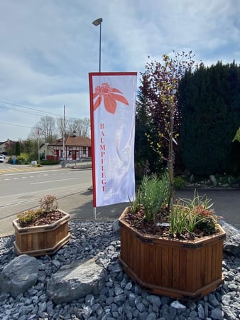 Willkommen bei Baumpflege Gallusser in Hinteregg