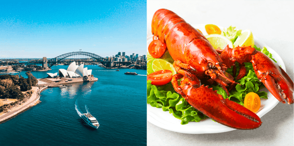 シドニーの街並みのイメージ ／ ロブスターのイメージ