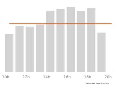 Voir le trafic sur Google maps https://maps.google.com/maps?cid=13067949903506859549