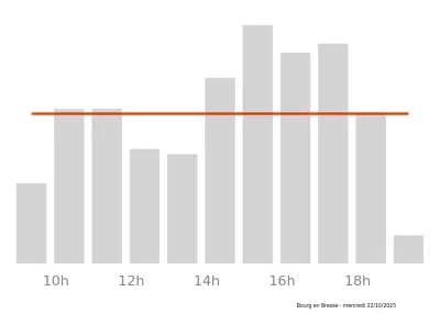 Voir le trafic sur Google maps https://maps.google.com/maps?cid=770562480819752662
