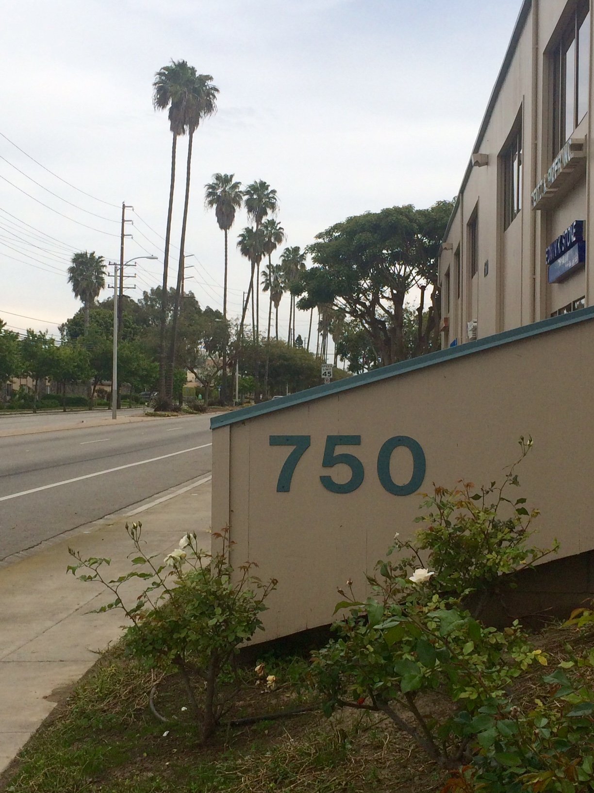 Leslie Carpenter-Henley Oxnard, CA