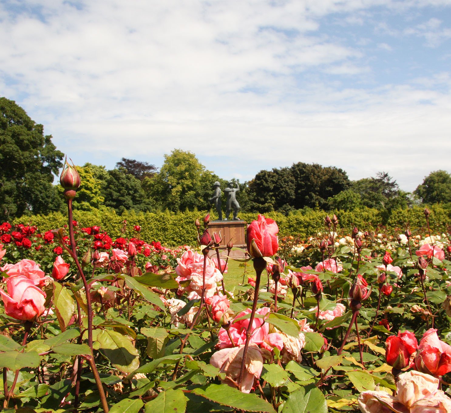 Rose Garden with Piper Alpha Memorial