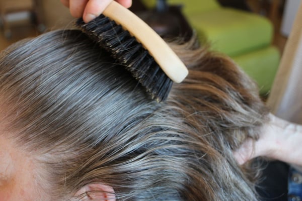 reine Wildschwein Bürste, wichtige Kopfhautpflege