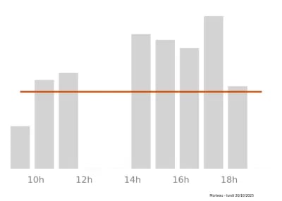 Voir le trafic sur Google maps https://maps.google.com/maps?cid=14228746988357707123