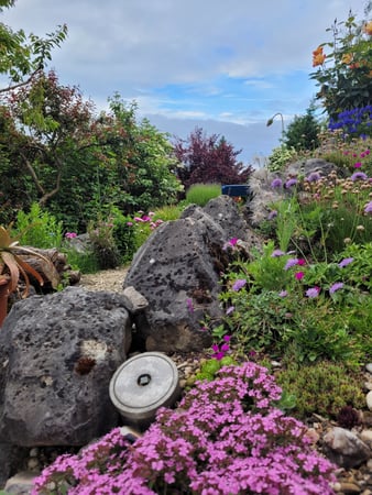 Gartenpflege (auch im ABO)