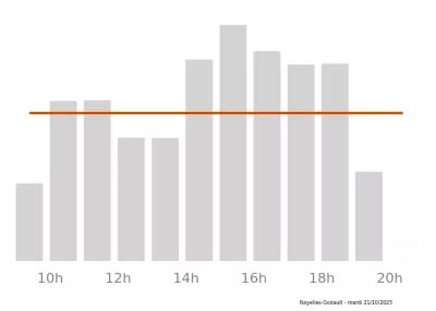 Voir le trafic sur Google maps https://maps.google.com/maps?cid=7578829379119357029