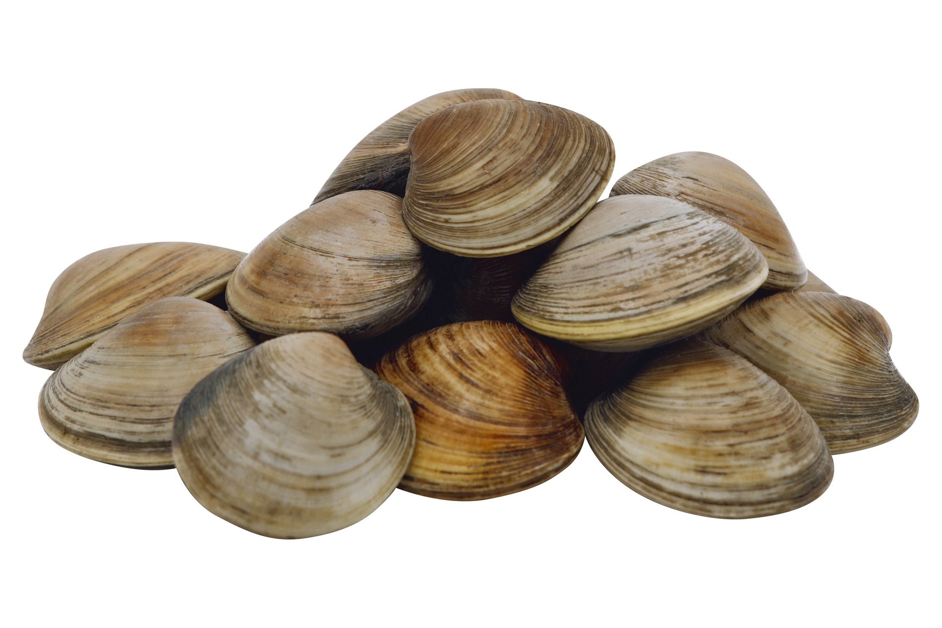 Fresh Meat & Seafood Near Me in Richboro, PA Order your choice of