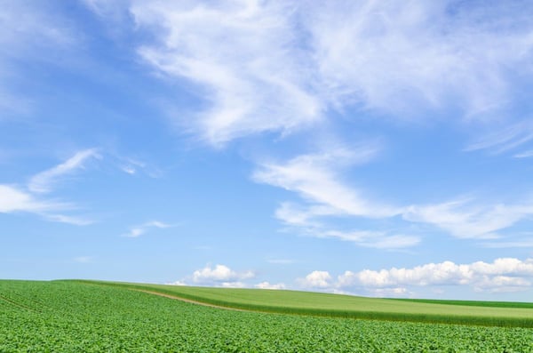北海道穀倉地帯