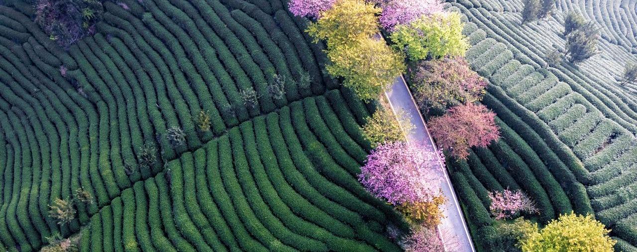 Hero Background Image