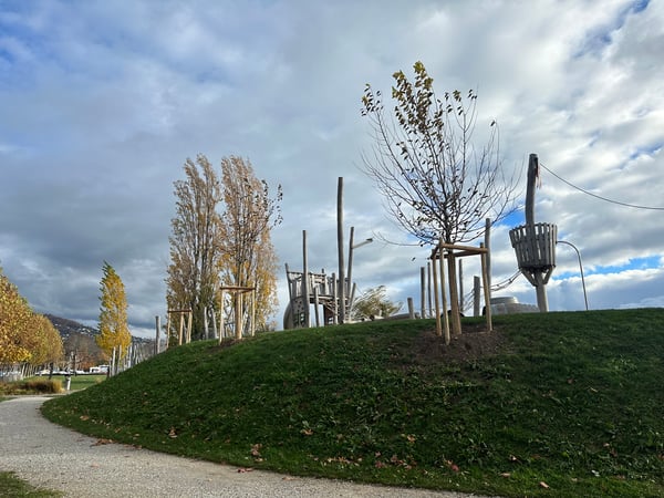 ELLEXA Sàrl, Soins aux arbres à Attalens