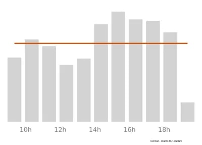 Voir le trafic sur Google maps https://maps.google.com/maps?cid=17575648914363103054