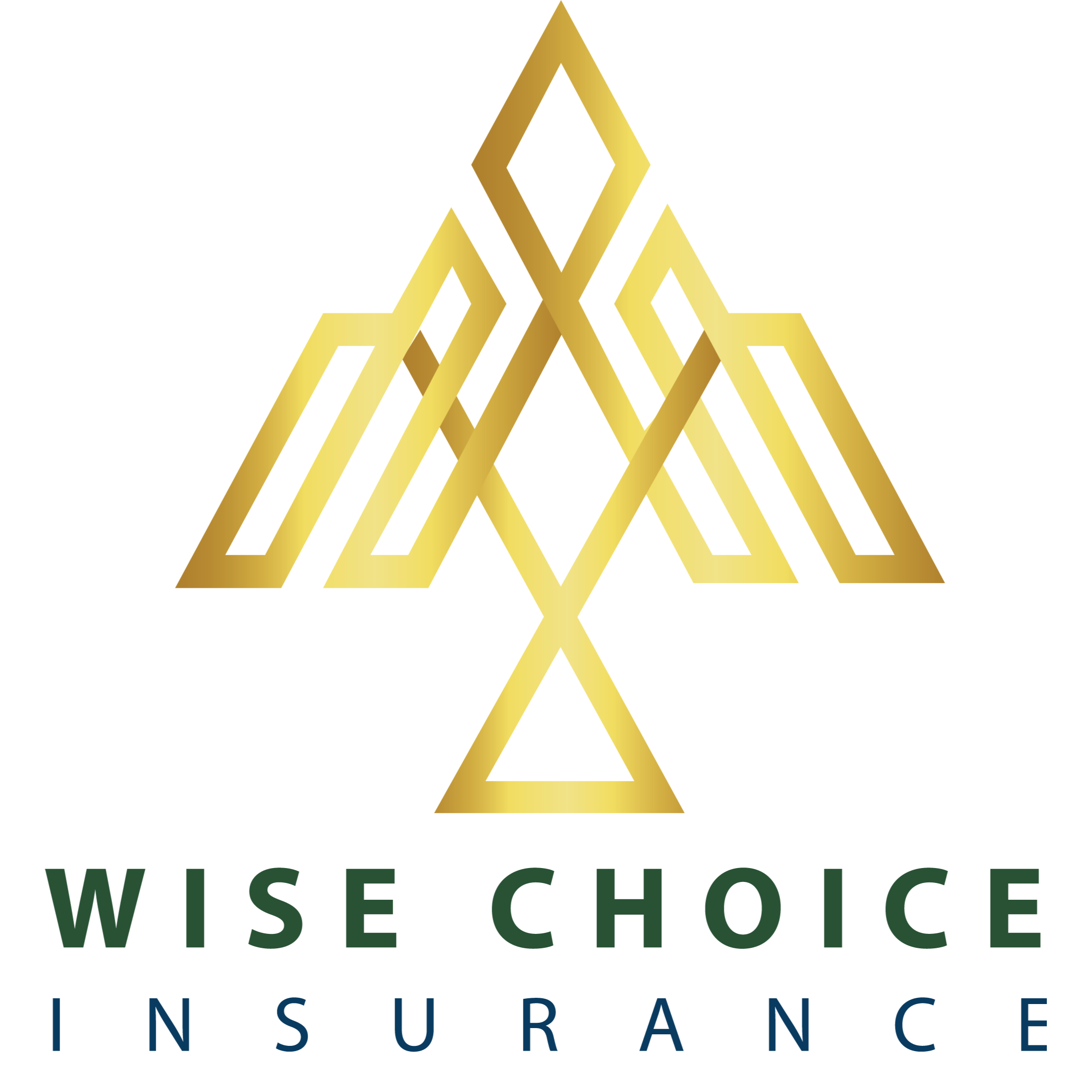 A 'Wise' choice –