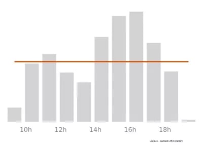 Voir le trafic sur Google maps https://maps.google.com/maps?cid=12485349403429022556