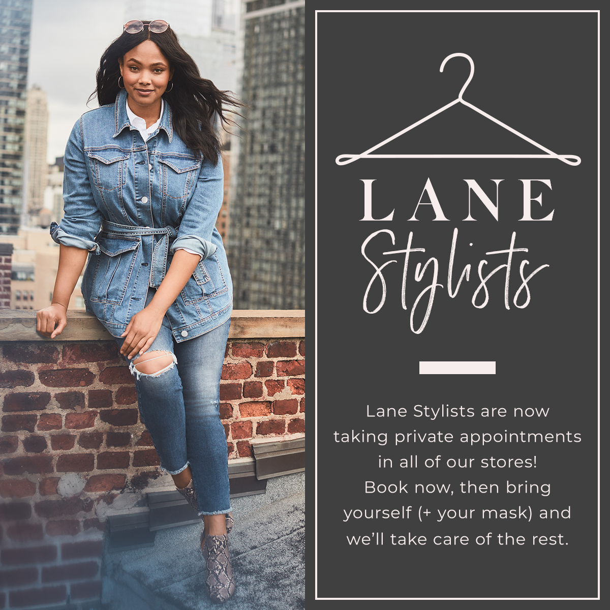 lane bryant professional attire