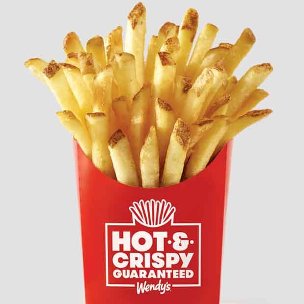 Wendy's Hot & Crispy Fries