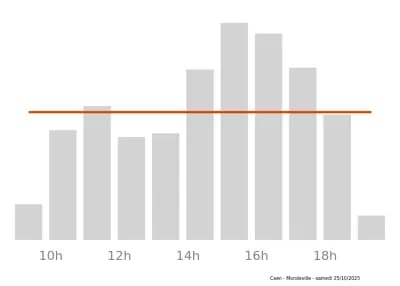 Voir le trafic sur Google maps https://maps.google.com/maps?cid=18295203355276860788