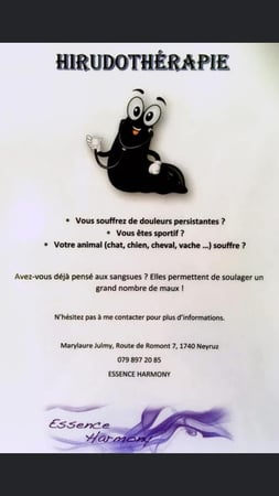 Essence Harmony - Neyruz