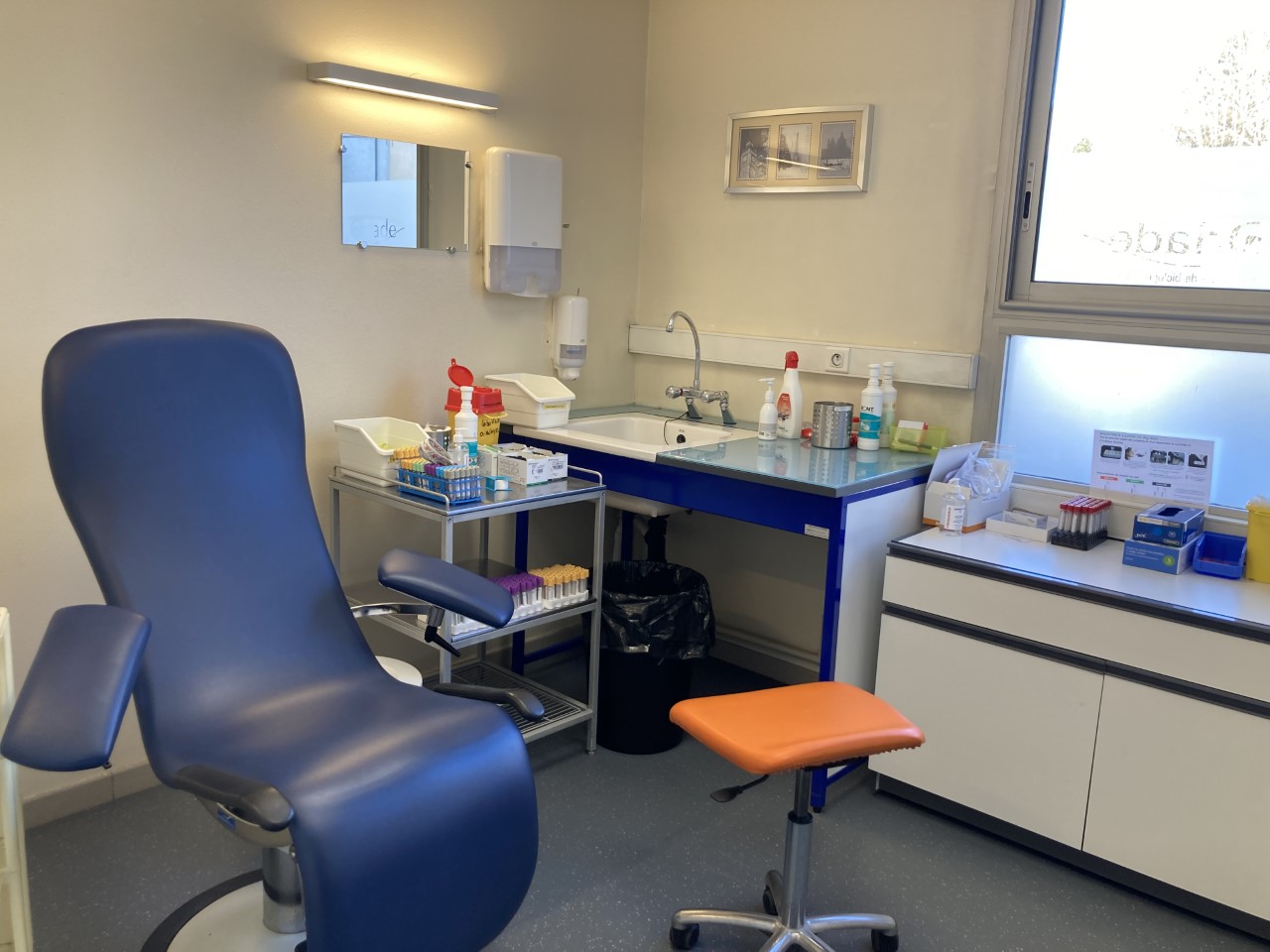 Laboratoire Vizille