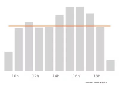 Voir le trafic sur Google maps https://maps.google.com/maps?cid=17140079125618315965