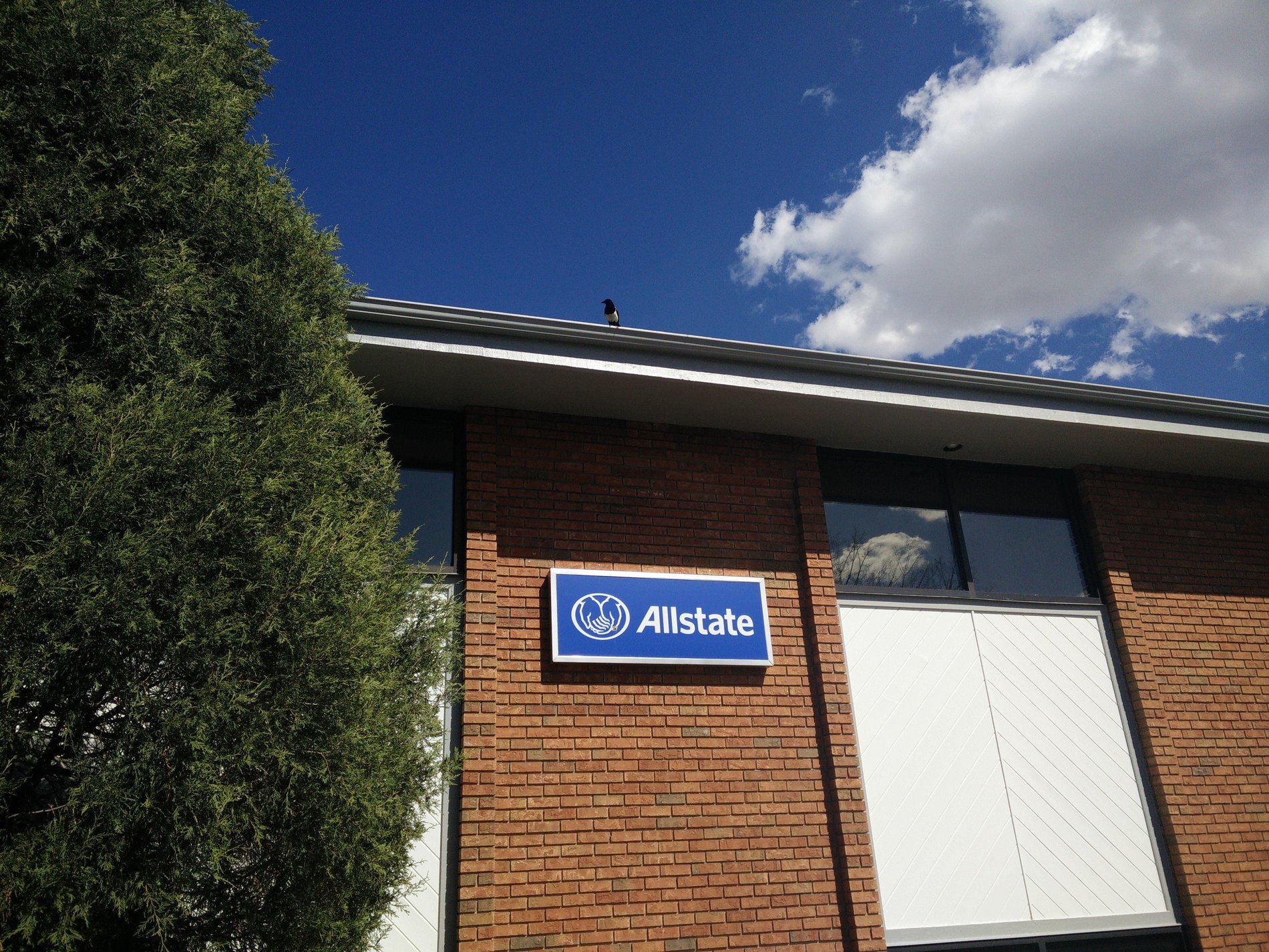Allstate Car Insurance in Colorado Springs, CO Michael